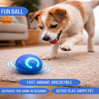 FunBall