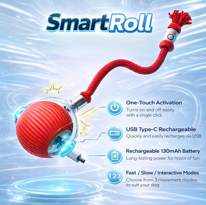 Smart Roll